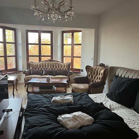 Dogs Resort And Spa Horni Bezdekov Eksteriør bilde