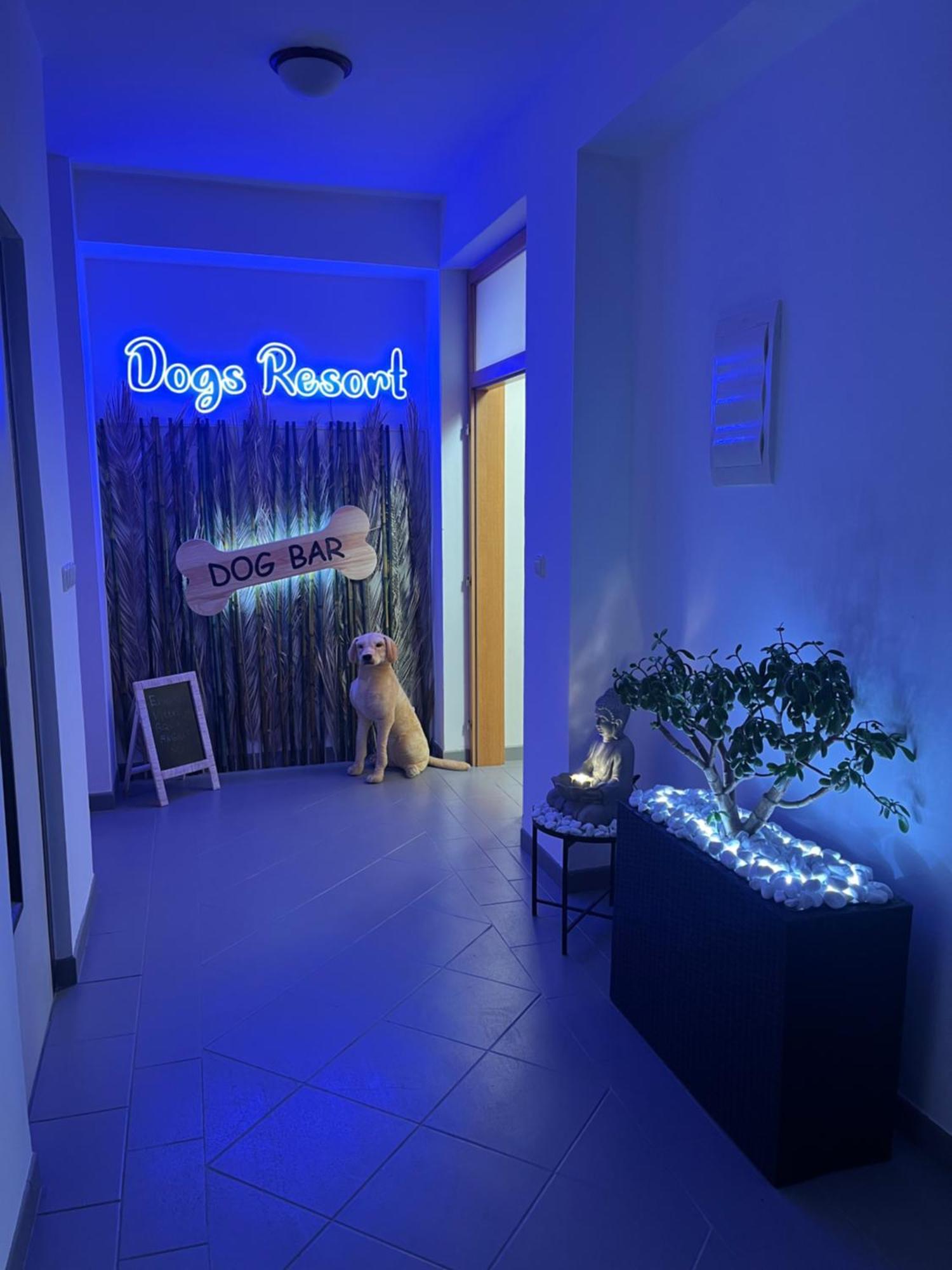 Dogs Resort And Spa Horni Bezdekov Eksteriør bilde
